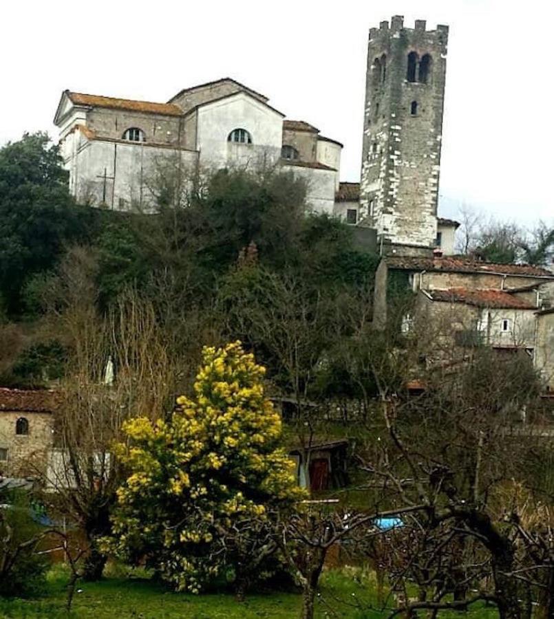 Vila Casa Di Anchiano Borgo a Mozzano Exteriér fotografie
